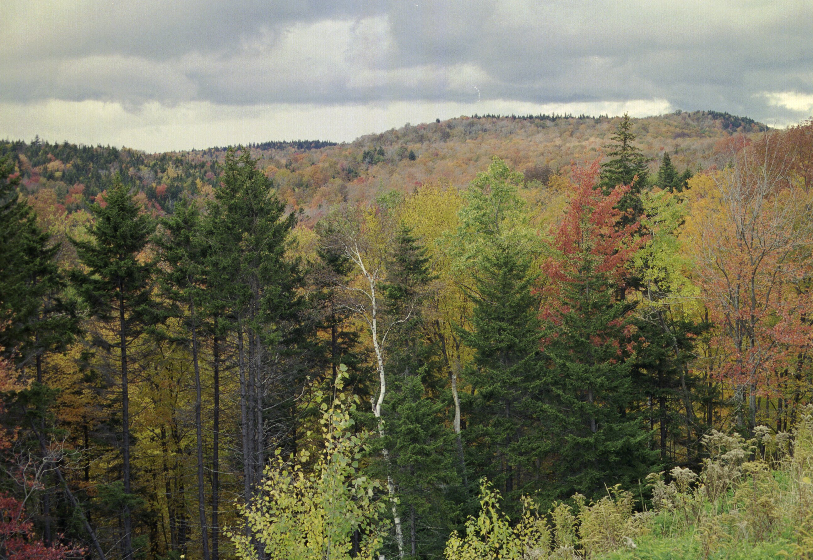 ne-foliage_100-mile-view-17