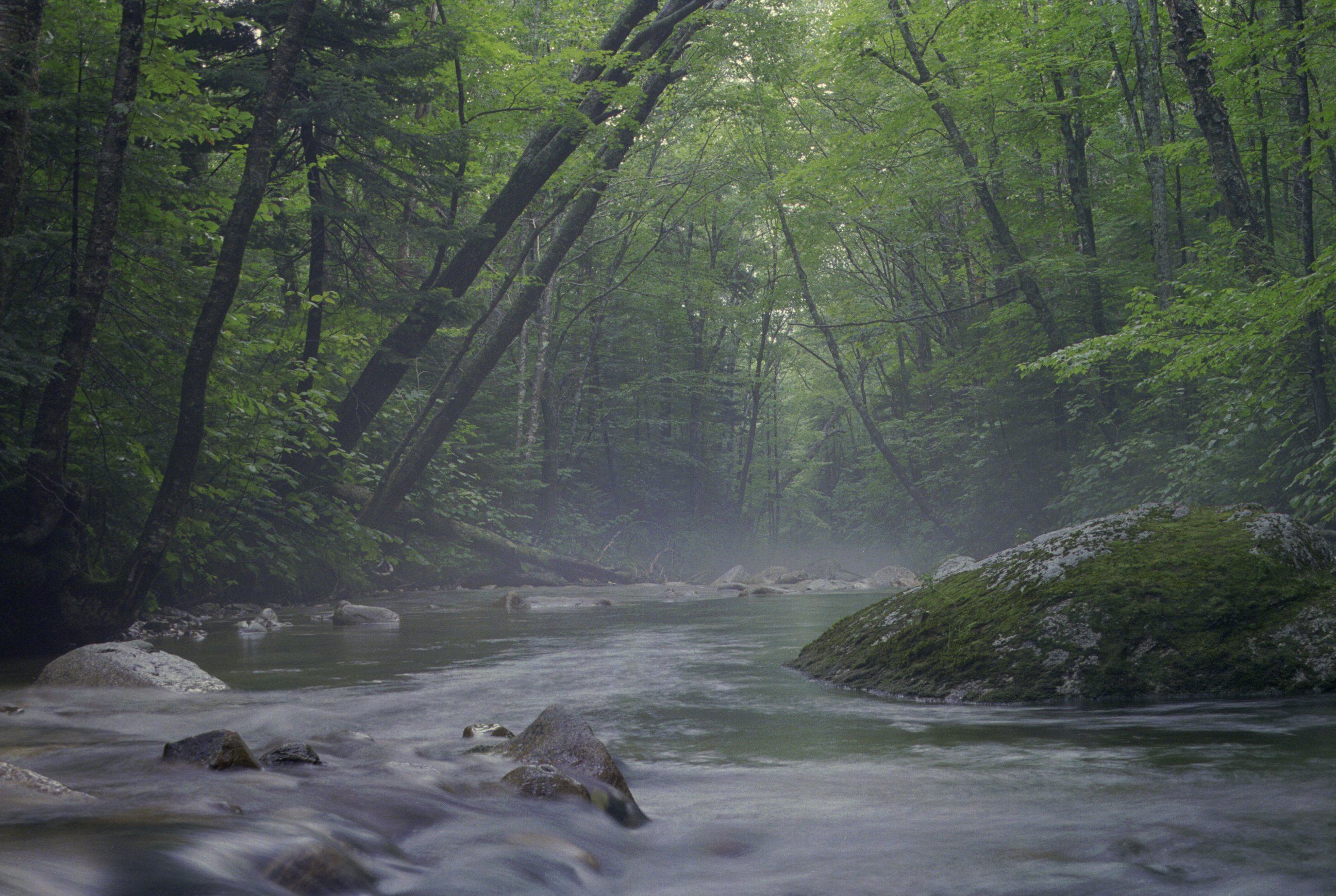 lonesome-lake_foggy-creek-3