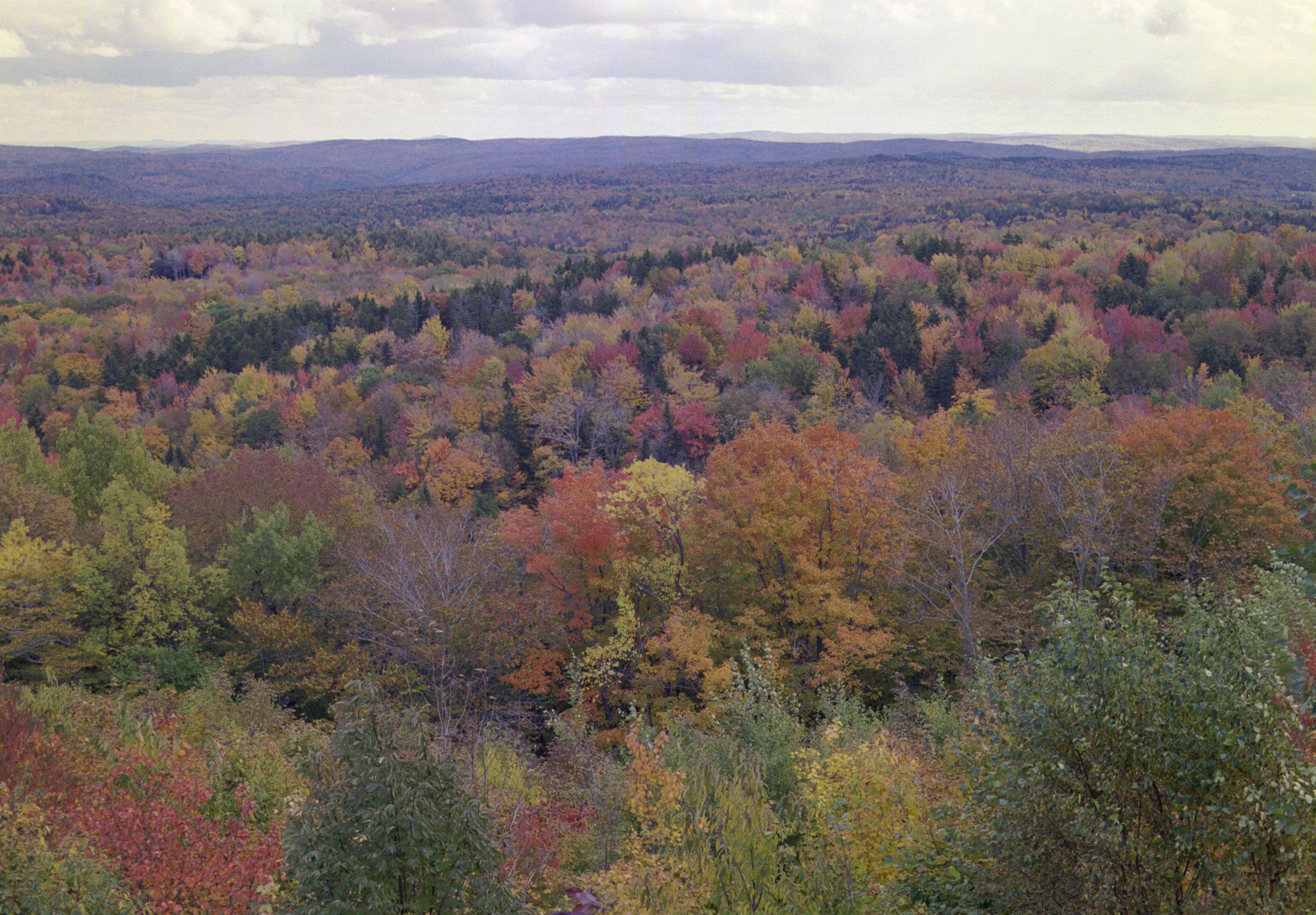 ne-foliage_100-mile-view-24