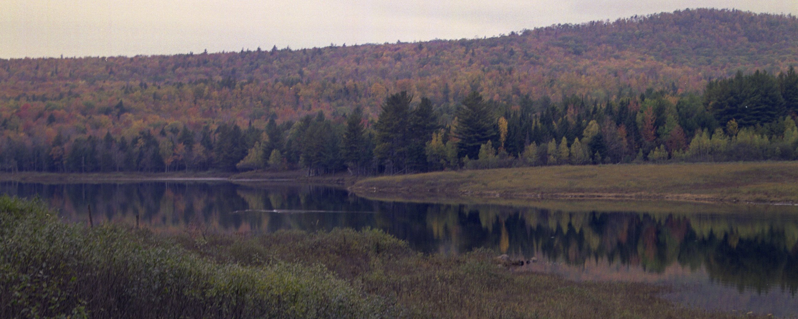 ne-foliage_eastern-nh-21