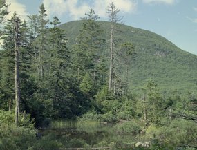 lonesome-lake_pool-cannon