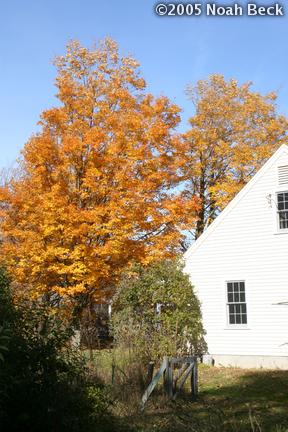 princeton-house2_pic-0230