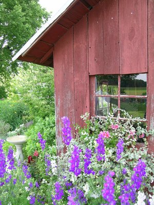 wedding-scenes_flowers_sheepshed