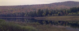 ne-foliage_eastern-nh-21
