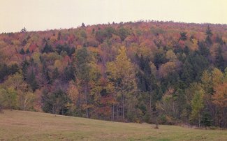 ne-foliage_eastern-nh-14