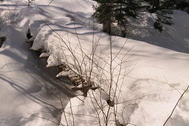miscellaneous_gordon-pond-trail-bridge