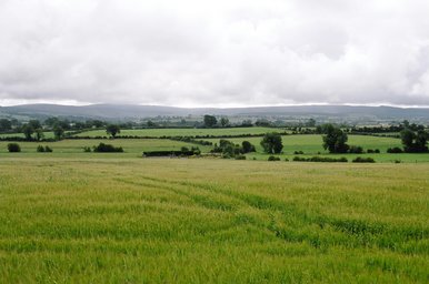 ireland-typical_ireland_view