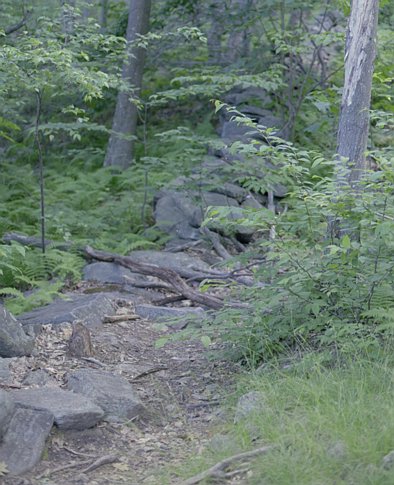 pack-monadnock_old-rock-wall
