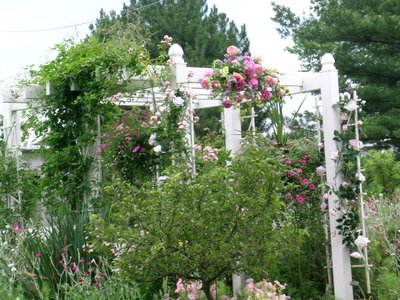 wedding-altar_side