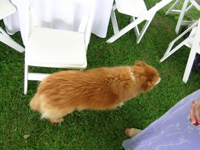 wedding-martha