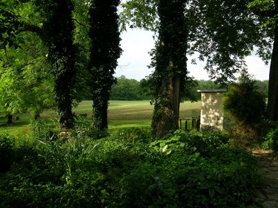 wedding-scenes_shade_garden