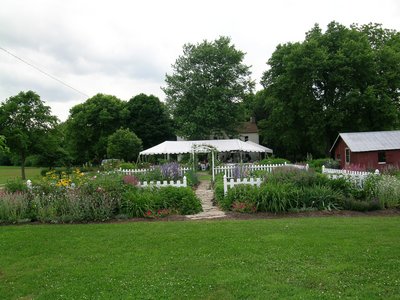 wedding-scenes_veg_barnyard_straight