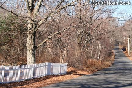 princeton-house2_pic-0130