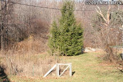 princeton-house2_pic-0240