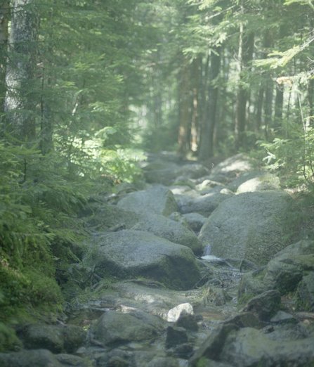 lonesome-lake_upper-trail