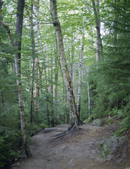 lonesome-lake_trail-aspens