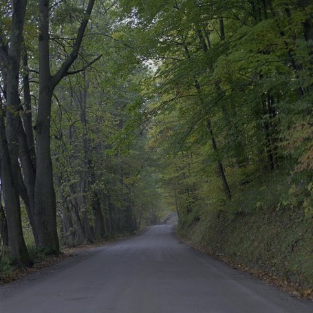ne-foliage_eastern-nh-04