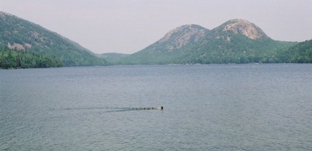 acadia_jordan-ducks-bubbles-1