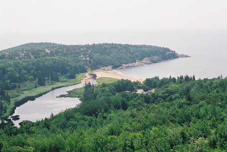 acadia_beehive-east