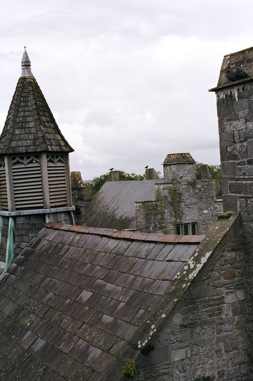 ireland-bunratty_castle_rooftop