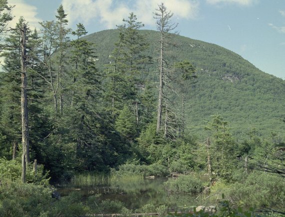 lonesome-lake_pool-cannon