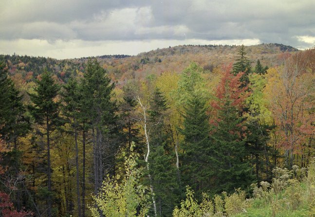 ne-foliage_100-mile-view-17