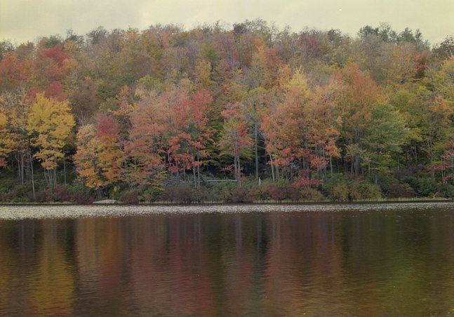 ne-foliage_windsor-jambs-06