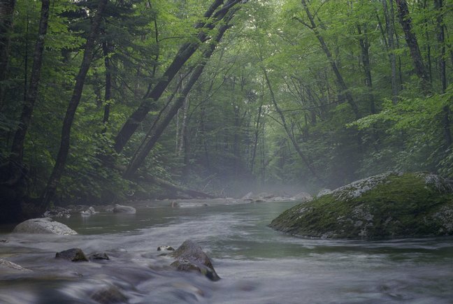 lonesome-lake_foggy-creek-3