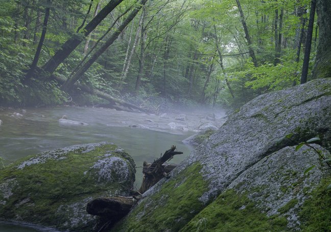 lonesome-lake_foggy-creek-2