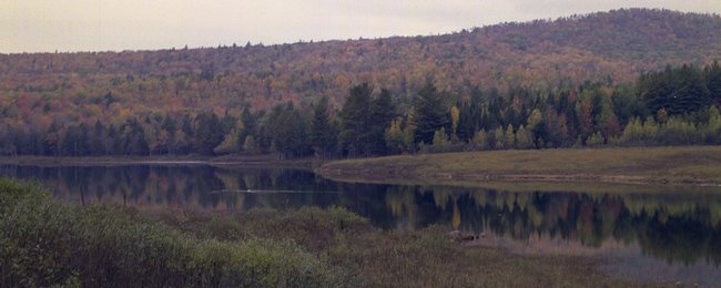 ne-foliage_eastern-nh-21