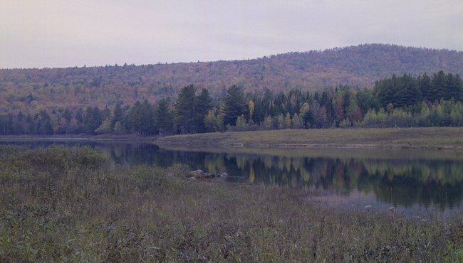 ne-foliage_eastern-nh-19
