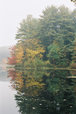 ne-foliage_mass-trees-water