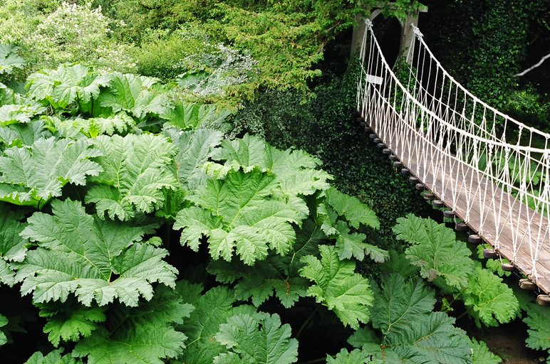 ireland-birr_castle_footbridge_bigleaf