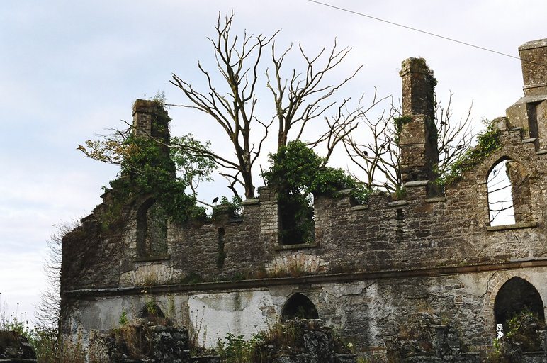 ireland-leap_castle_ruins_outside_lwing