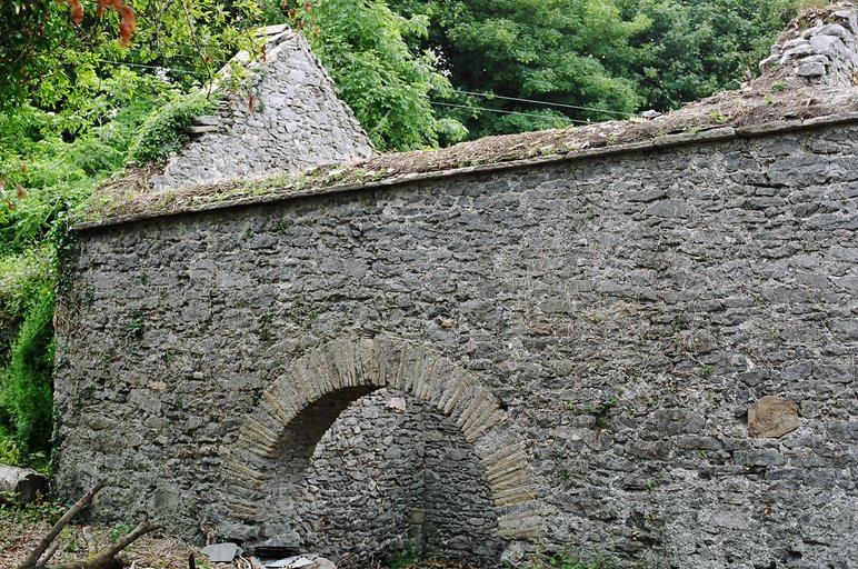 ireland-leap_castle_side_ruins