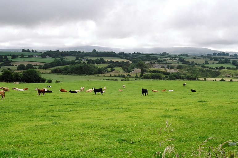ireland-leap_castle_view2