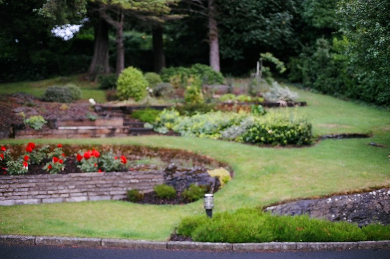 ireland-tudor_lodge_garden