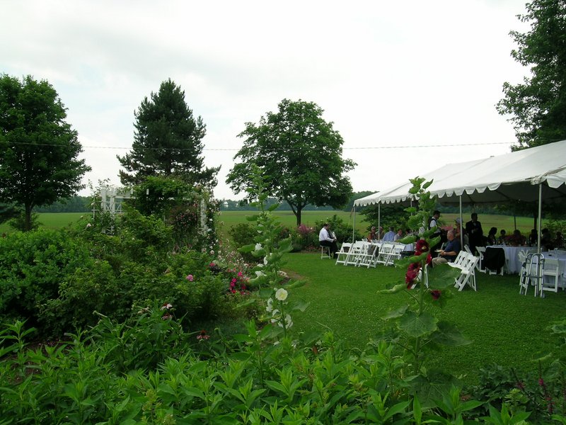 wedding-scenes_arbor_chairs_side