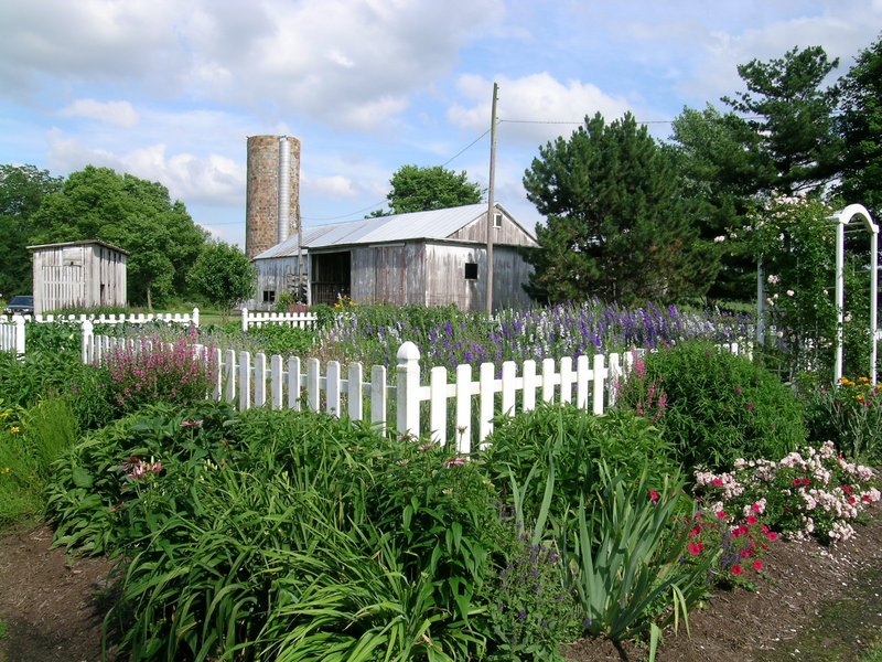 wedding-scenes_barn_sm_arbor_sunshine
