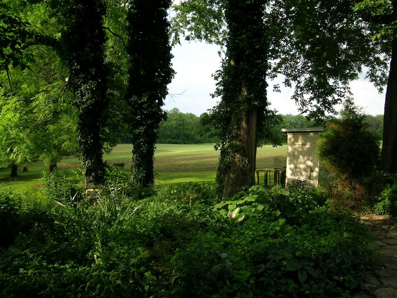 wedding-scenes_shade_garden