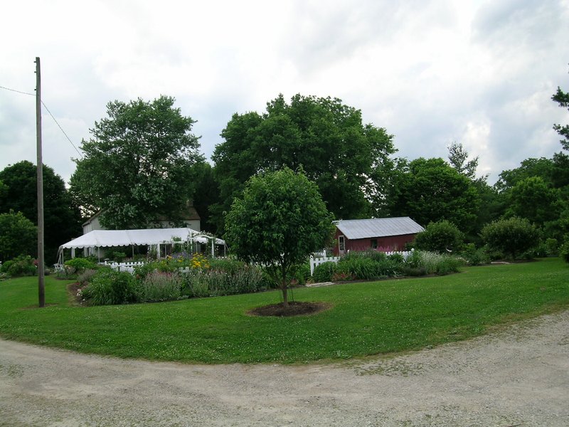 wedding-scenes_veg_barnyard