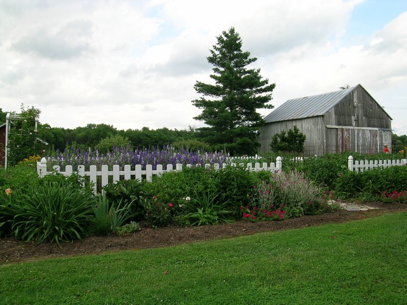 wedding-scenes_veg_garden_barn_south
