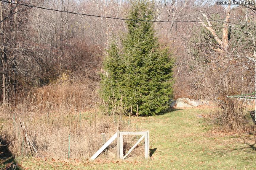 princeton-house2_pic-0240