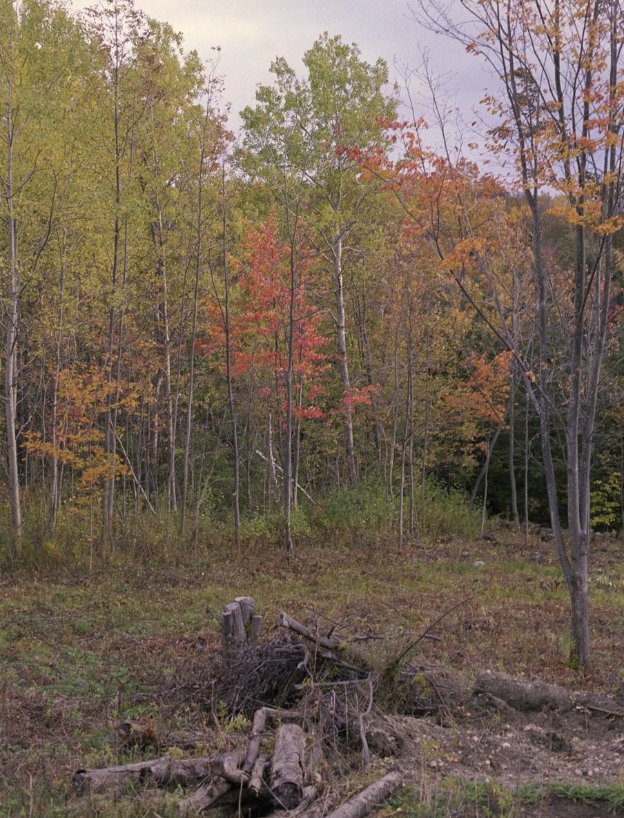 ne-foliage_near-adams-18