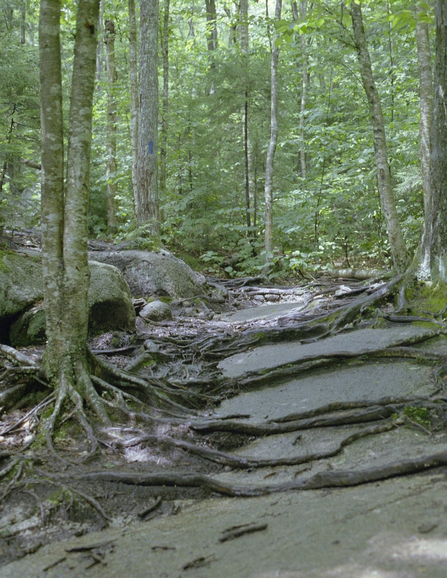 lonesome-lake_lower-trail