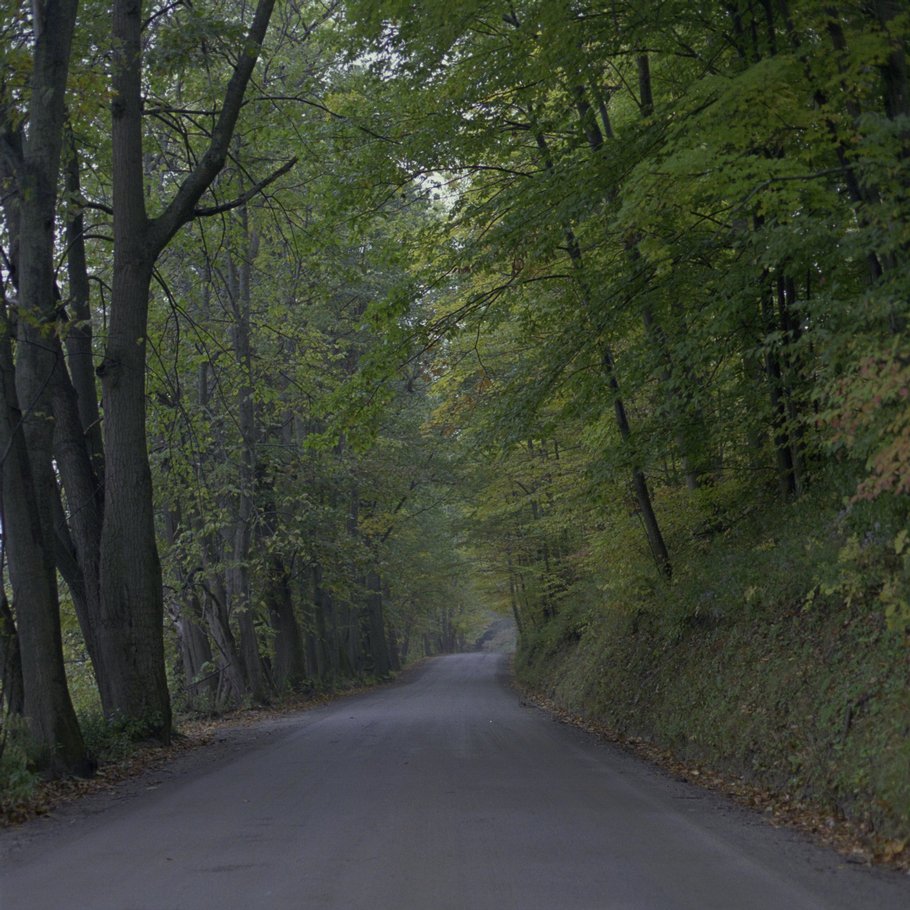 ne-foliage_eastern-nh-04